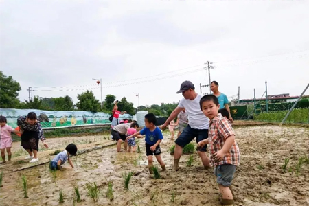 空中田園讓今年的六一節不一樣